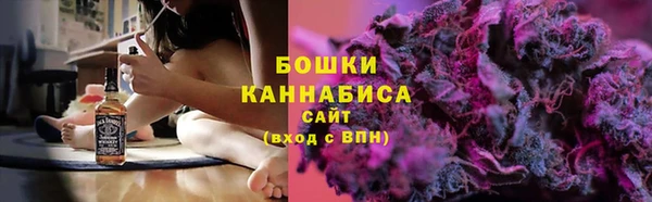 мдпв Козельск