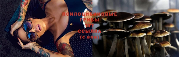 ECSTASY Козловка