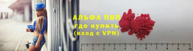 ECSTASY Козловка