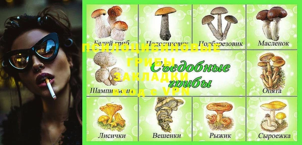 ECSTASY Козловка