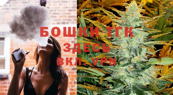 мдпв Козельск