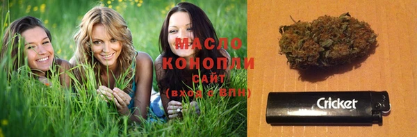 мдпв Козельск