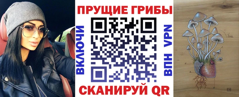 где найти   ОМГ ОМГ tor  Галлюциногенные грибы Cubensis  Кочубеевское 